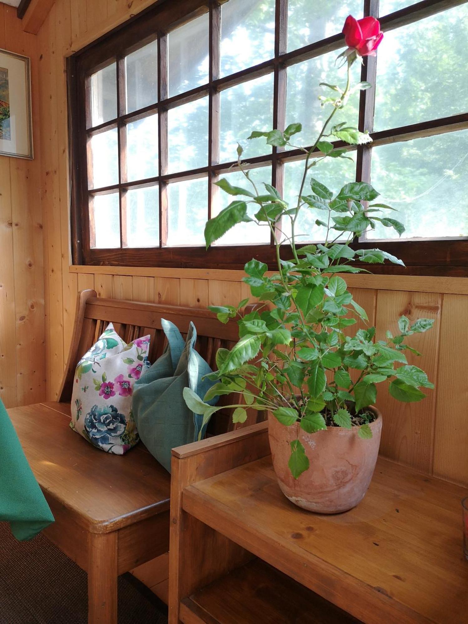 Ferienwohnung Schmidt - Natur Und Ruhe Schwaigen Room photo